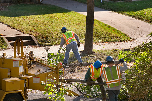 Lawn Maintenance Plans in Cannon Beach, OR
